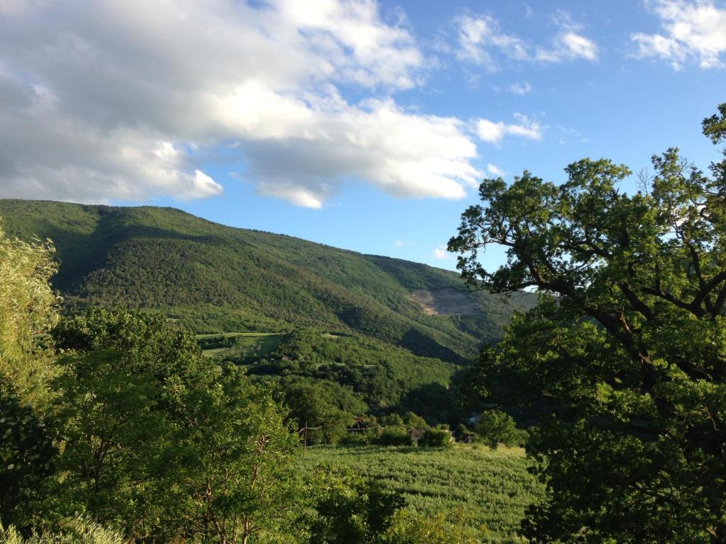Agriturismo Nizzi Villa Assisi Exterior foto